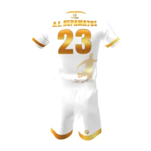 AE PERAMATOS GOLD BACK
