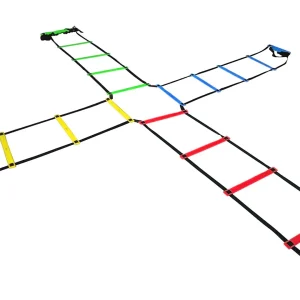 4 WAY LADDER