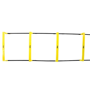 STEP HURDLE LADDER